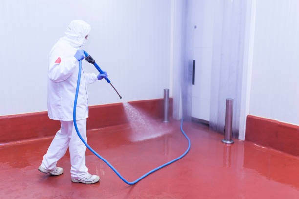 Best Boat and Dock Cleaning  in Pitola, CA