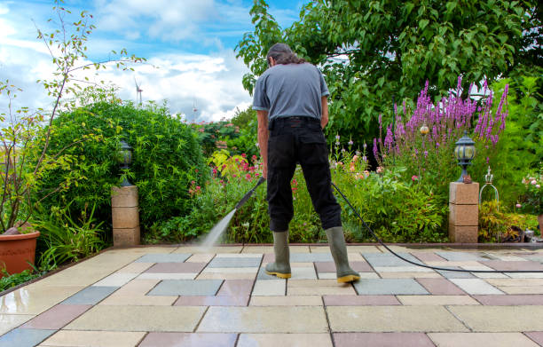 Best Restaurant Pressure Washing  in Pitola, CA